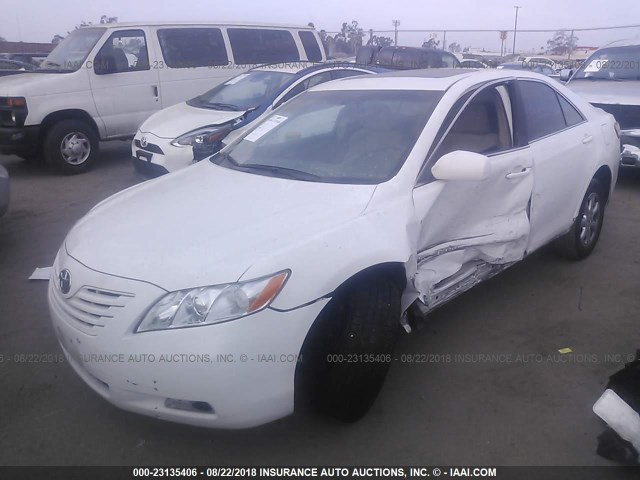 4T1BE46K07U600283 - 2007 TOYOTA CAMRY NEW GENERAT CE/LE/XLE/SE WHITE photo 2