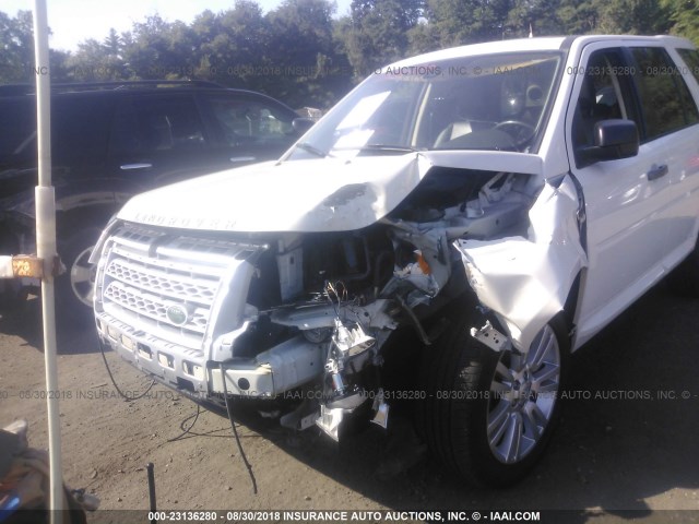 SALFT24N89H139738 - 2009 LAND ROVER LR2 HSE TECHNOLOGY WHITE photo 6