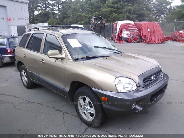 KM8SC73D94U629922 - 2004 HYUNDAI SANTA FE TAN photo 1