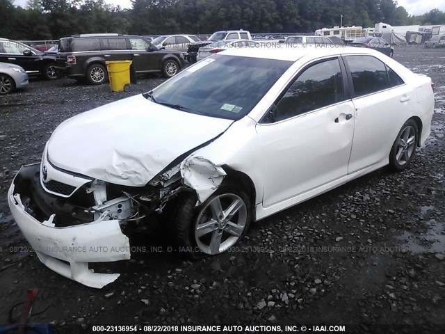 4T1BF1FKXDU676536 - 2013 TOYOTA CAMRY L/SE/LE/XLE 白色 照片 2