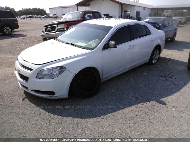 1G1ZA5EU9BF189155 - 2011 CHEVROLET MALIBU LS თეთრი ფოტო 2