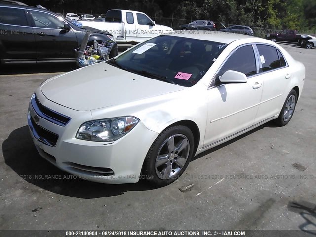 1G1ZC5E14BF233997 - 2011 CHEVROLET MALIBU 1LT WHITE photo 2