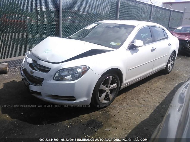 1G1ZC5E0XCF225413 - 2012 CHEVROLET MALIBU 1LT 白色 照片 2
