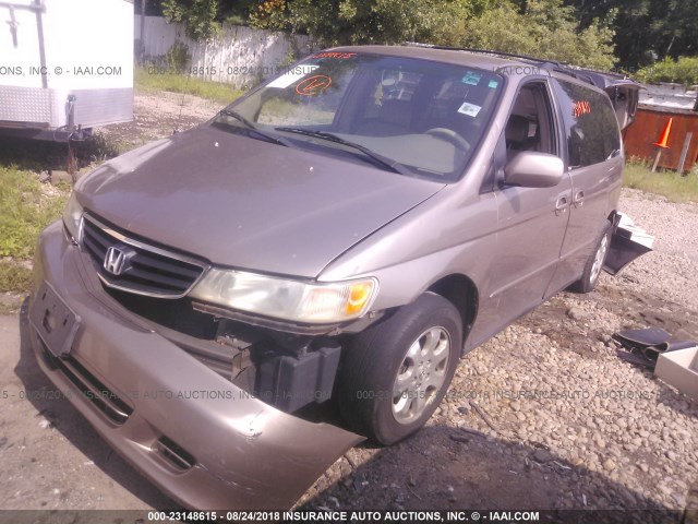 5FNRL18944B112086 - 2004 HONDA ODYSSEY EXL BROWN photo 2