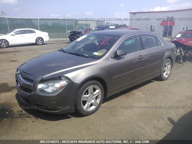 1G1ZA5E10BF222078 - 2011 CHEVROLET MALIBU LS Qəhvəyi foto 2