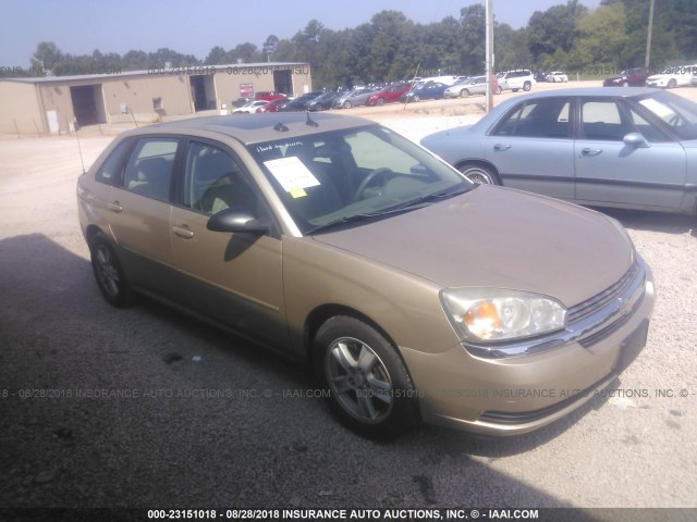 1G1ZT64874F191798 - 2004 CHEVROLET MALIBU MAXX LS GOLD photo 1