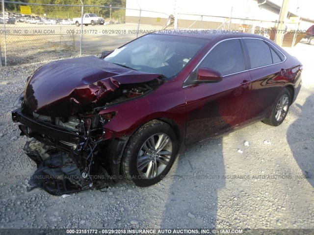 4T1BF1FK0GU516864 - 2016 TOYOTA CAMRY LE/XLE/SE/XSE 红色 照片 2