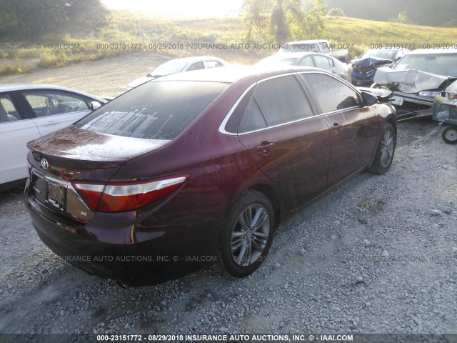 4T1BF1FK0GU516864 - 2016 TOYOTA CAMRY LE/XLE/SE/XSE RED photo 4