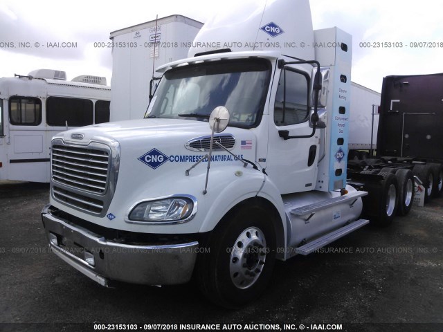 1FUJC5DX9DHFA1886 - 2013 FREIGHTLINER M2 112 MEDIUM DUTY WHITE photo 2