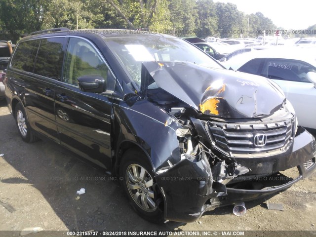 5FNRL38708B077336 - 2008 HONDA ODYSSEY EXL BLACK photo 1