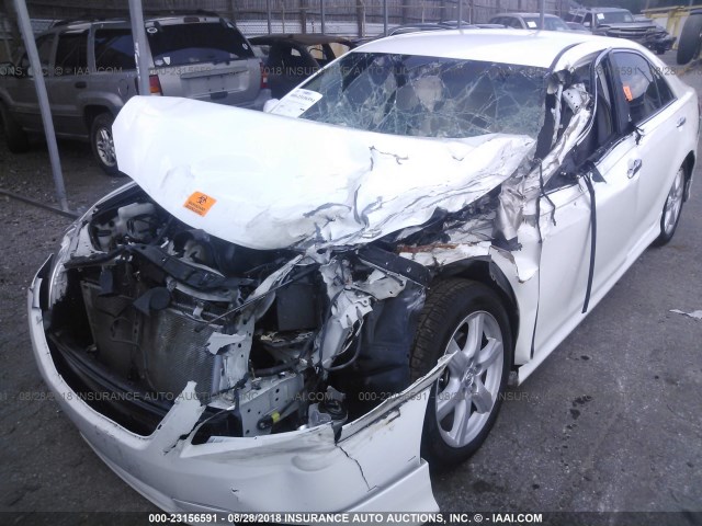 4T1BE46K38U790176 - 2008 TOYOTA CAMRY CE/LE/XLE/SE WHITE photo 6
