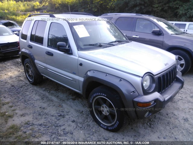 1J8GL48KX3W702534 - 2003 JEEP LIBERTY SPORT/FREEDOM SILVER photo 1