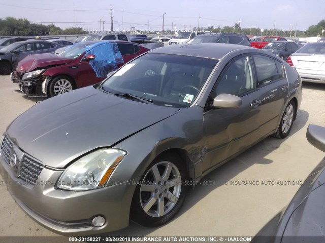 1N4BA41E06C848884 - 2006 NISSAN MAXIMA SE/SL GOLD photo 6