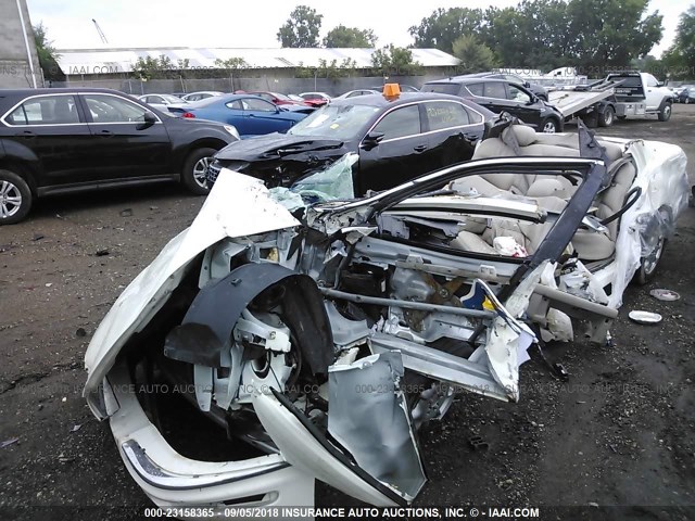 1G4CU541X14204974 - 2001 BUICK PARK AVENUE ULTRA WHITE photo 2