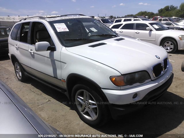 5UXFB33543LH47666 - 2003 BMW X5 4.4I WHITE photo 1