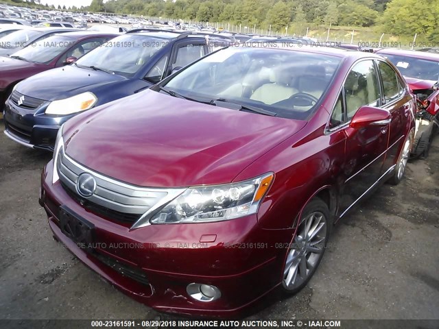 JTHBB1BA7A2000323 - 2010 LEXUS HS 250H RED photo 2