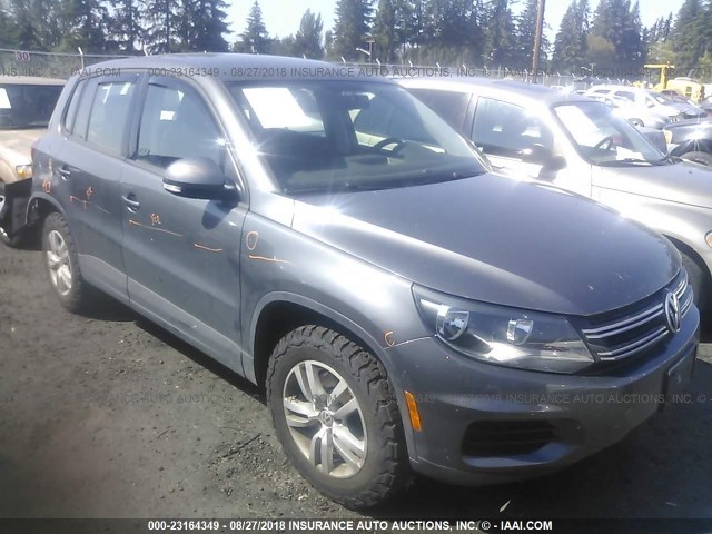 WVGBV3AX3EW506252 - 2014 VOLKSWAGEN TIGUAN S/SE/SEL/R-LINE GRAY photo 1