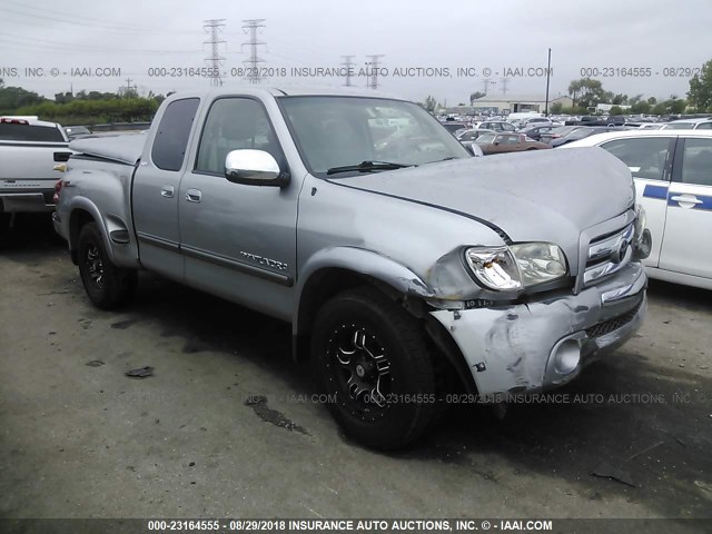 5TBRT34195S457132 - 2005 TOYOTA TUNDRA ACCESS CAB SR5 GRAY photo 1