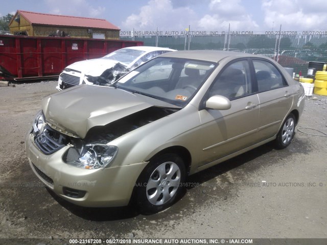 KNAFE221895652620 - 2009 KIA SPECTRA EX/LX/SX 金色 照片 2