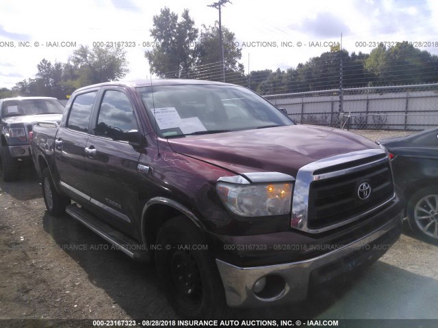 5TFEY5F13AX074629 - 2010 TOYOTA TUNDRA CREWMAX SR5 MAROON photo 1