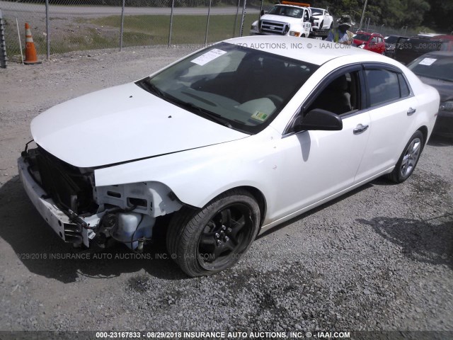1G1ZB5E01CF225707 - 2012 CHEVROLET MALIBU LS Ağ foto 2