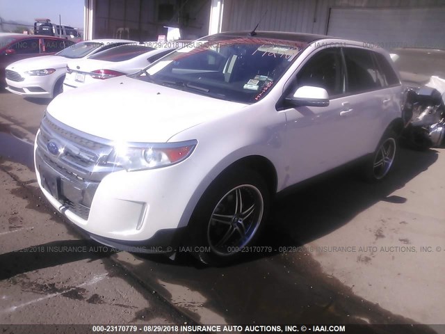 2FMDK3JC4EBB39409 - 2014 FORD EDGE SEL WHITE photo 2