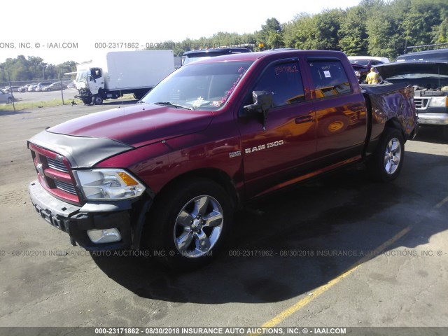 1C6RD7MT3CS149754 - 2012 DODGE RAM 1500 SPORT RED photo 2