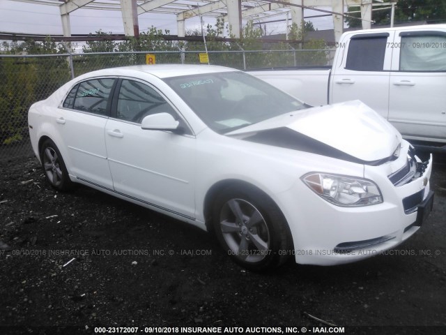 1G1ZC5E10BF317556 - 2011 CHEVROLET MALIBU 1LT თეთრი ფოტო 1