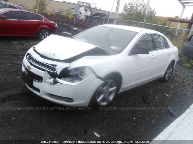 1G1ZC5E10BF317556 - 2011 CHEVROLET MALIBU 1LT თეთრი ფოტო 2