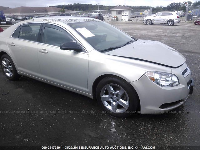 1G1ZB5E16BF282766 - 2011 CHEVROLET MALIBU LS Qəhvəyi foto 1