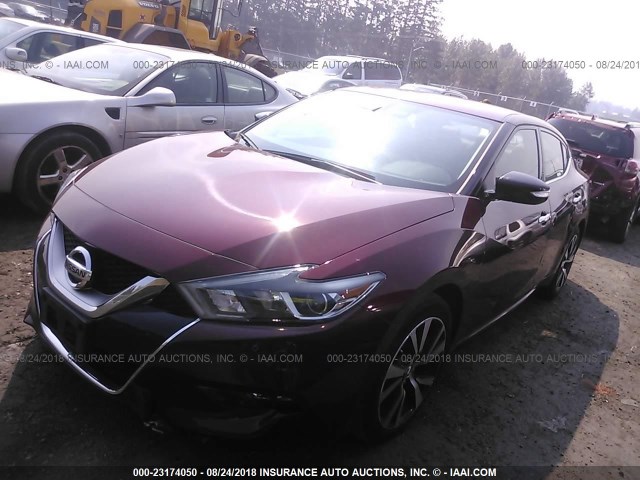 1N4AA6AP2HC441189 - 2017 NISSAN MAXIMA 3.5S/SV/SL/SR/PLAT RED photo 2