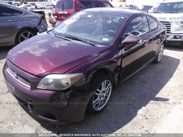 JTKDE177650057556 - 2005 TOYOTA SCION TC MAROON photo 2