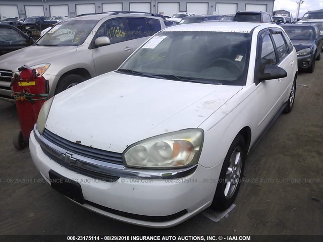 1G1ZT62885F306008 - 2005 CHEVROLET MALIBU MAXX LS 白色 照片 2