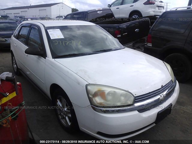 1G1ZT62885F306008 - 2005 CHEVROLET MALIBU MAXX LS 白色 照片 6
