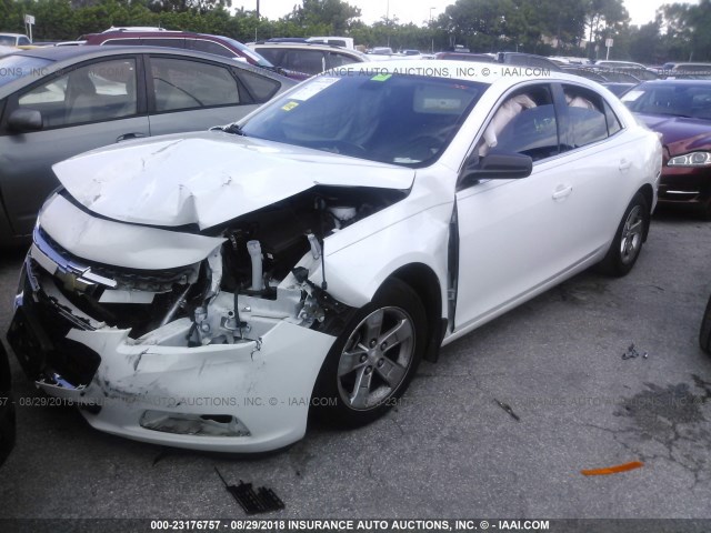 1G11B5SL1EF121166 - 2014 CHEVROLET MALIBU LS Ağ foto 2