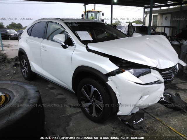 JTJYARBZ2J2112303 - 2018 LEXUS NX 300/BASE/F SPORT 白色 照片 1