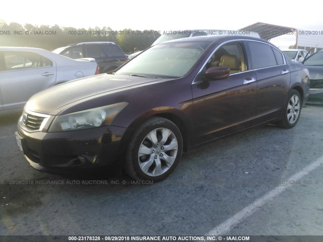 1HGCP36888A055147 - 2008 HONDA ACCORD EXL MAROON photo 2