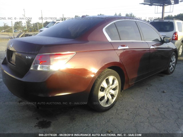 1HGCP36888A055147 - 2008 HONDA ACCORD EXL MAROON photo 4