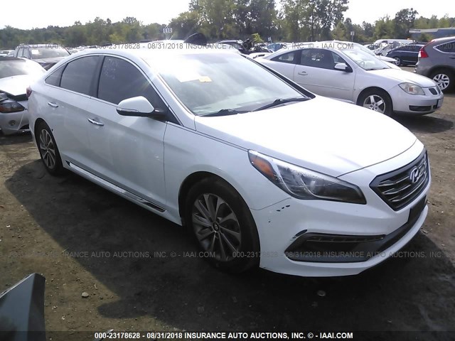 5NPE34AF0GH364231 - 2016 HYUNDAI SONATA SPORT/LIMITED WHITE photo 1