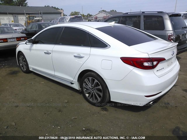 5NPE34AF0GH364231 - 2016 HYUNDAI SONATA SPORT/LIMITED WHITE photo 3