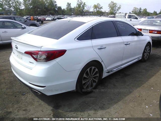 5NPE34AF0GH364231 - 2016 HYUNDAI SONATA SPORT/LIMITED WHITE photo 4