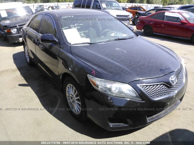 4T4BF3EK1AR032731 - 2010 TOYOTA CAMRY SE/LE/XLE შავი ფოტო 1