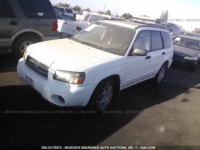JF1SG65644H737364 - 2004 SUBARU FORESTER 2.5XS თეთრი ფოტო 2