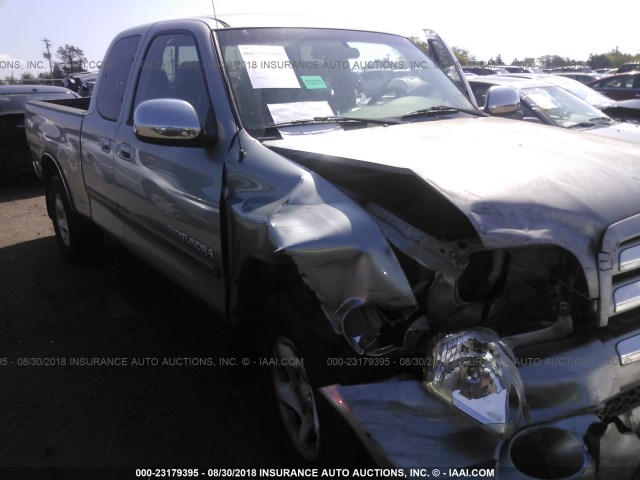 5TBRT341X4S456148 - 2004 TOYOTA TUNDRA ACCESS CAB SR5 GRAY photo 1