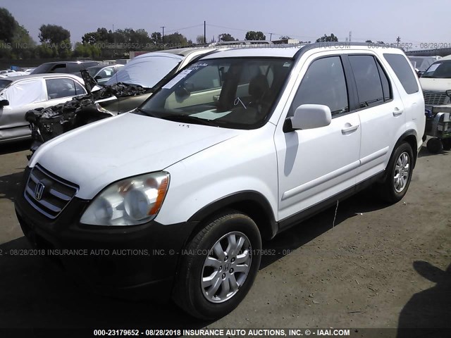 JHLRD78905C031894 - 2005 HONDA CR-V SE/EX WHITE photo 2