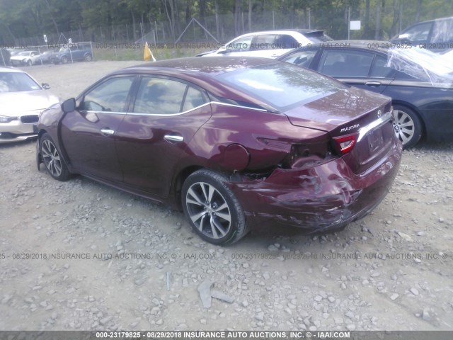 1N4AA6AP4GC446358 - 2016 NISSAN MAXIMA 3.5S/SV/SL/SR/PLAT MAROON photo 3