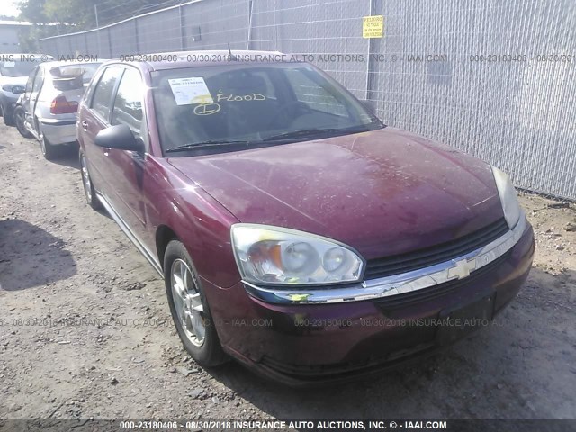 1G1ZT64814F144055 - 2004 CHEVROLET MALIBU MAXX LS RED photo 1