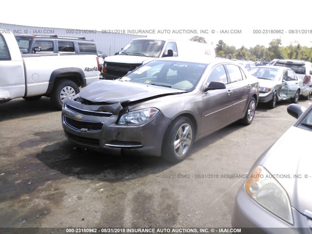 1G1ZB5EB6AF263884 - 2010 CHEVROLET MALIBU LS 棕色 照片 2