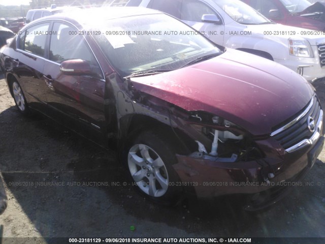 1N4CL21E07C224233 - 2007 NISSAN ALTIMA HYBRID RED photo 1