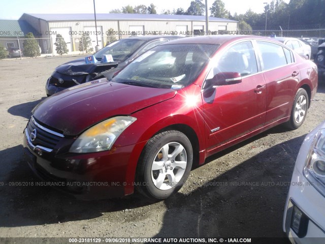 1N4CL21E07C224233 - 2007 NISSAN ALTIMA HYBRID RED photo 2